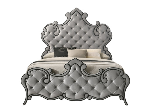 Lit Queen ACME Perine, velours gris BD01062Q