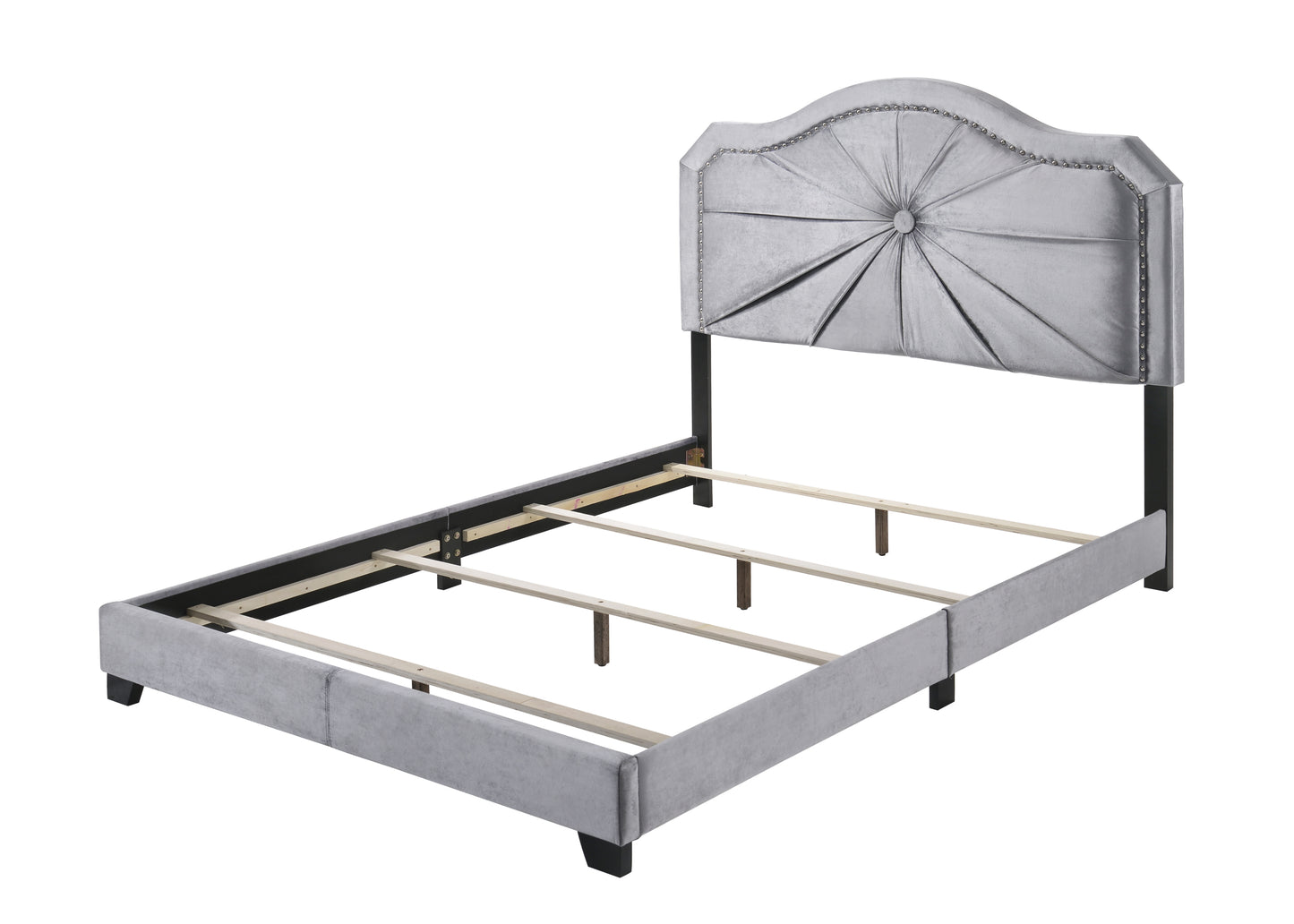 Lit Queen ACME Frankie, velours gris 26410Q