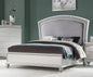 ACME Maverick Queen Bed, Fabric & Platinum (1Set/3Ctn) 21800Q