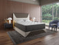 13.5" Dream Flex Two Sided Plush Mattress