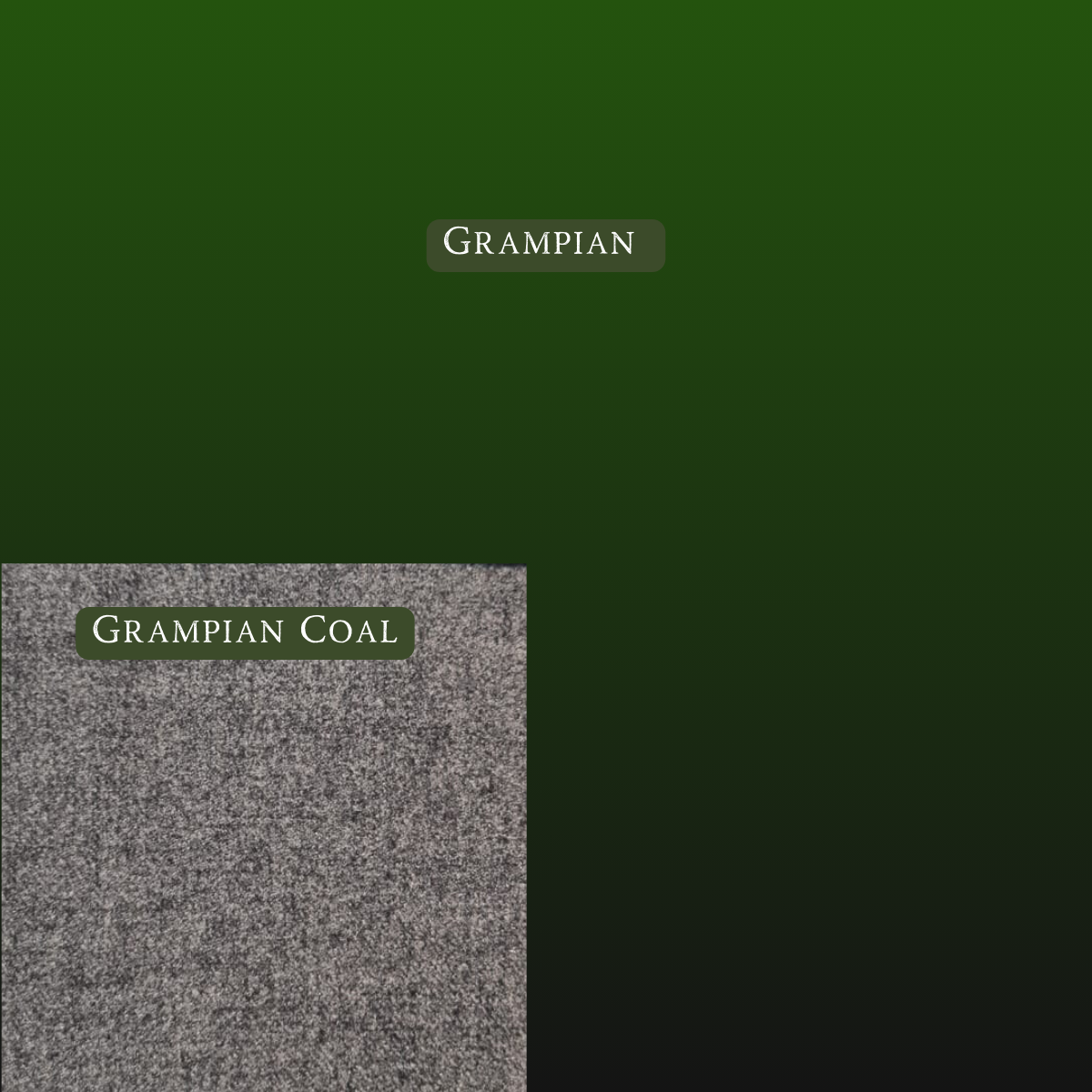 NR.:2 / BASES 🇬🇧 UK