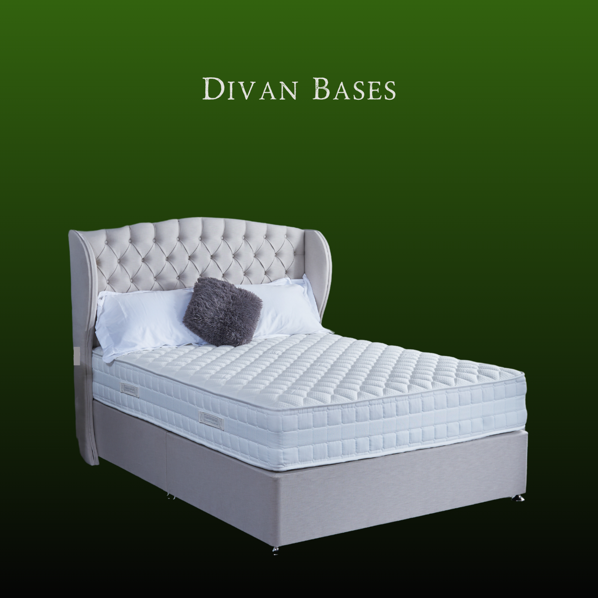 NR.:2 / BASES 🇬🇧 UK