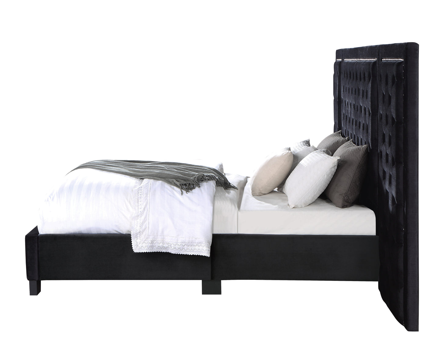 ACME Damazy Queen Bed, Black Velvet BD00975Q