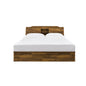 ACME Hestia Queen Bed in Walnut Finish BD00542Q