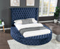 Queen Size Tufted Storage Bed made with Wood in Blue