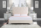 ACME Faiz Queen Bed, Beige Velvet BD00957Q