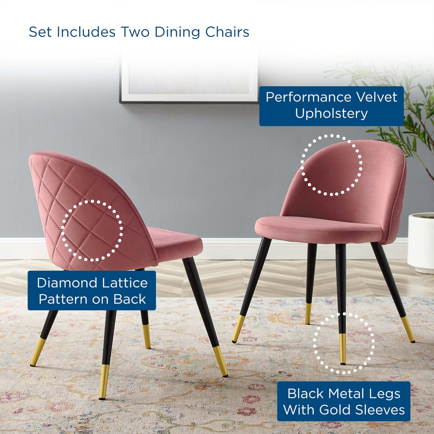 Cordial Performance Velvet Dining Chairs Set of 2