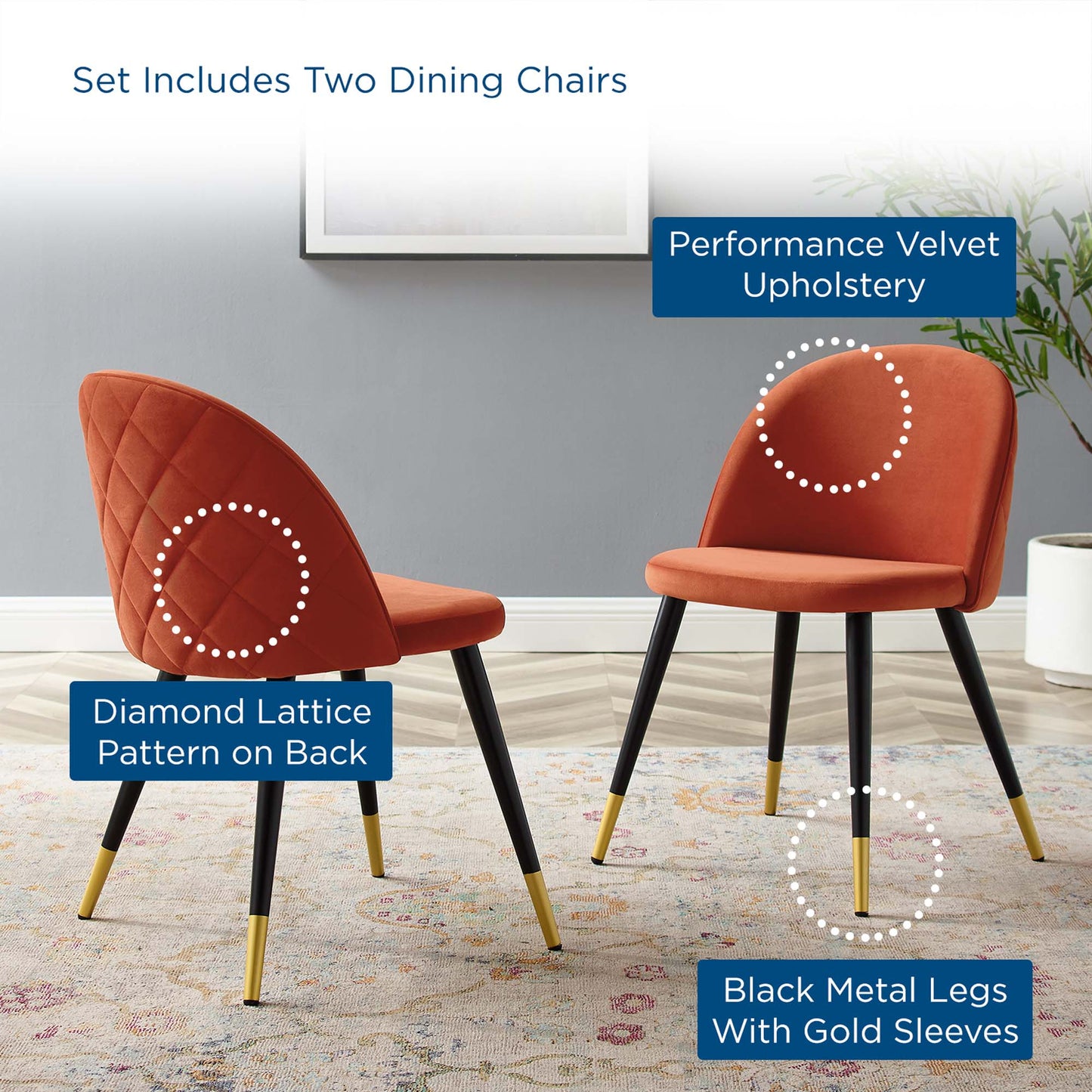 Cordial Performance Velvet Dining Chairs Set of 2