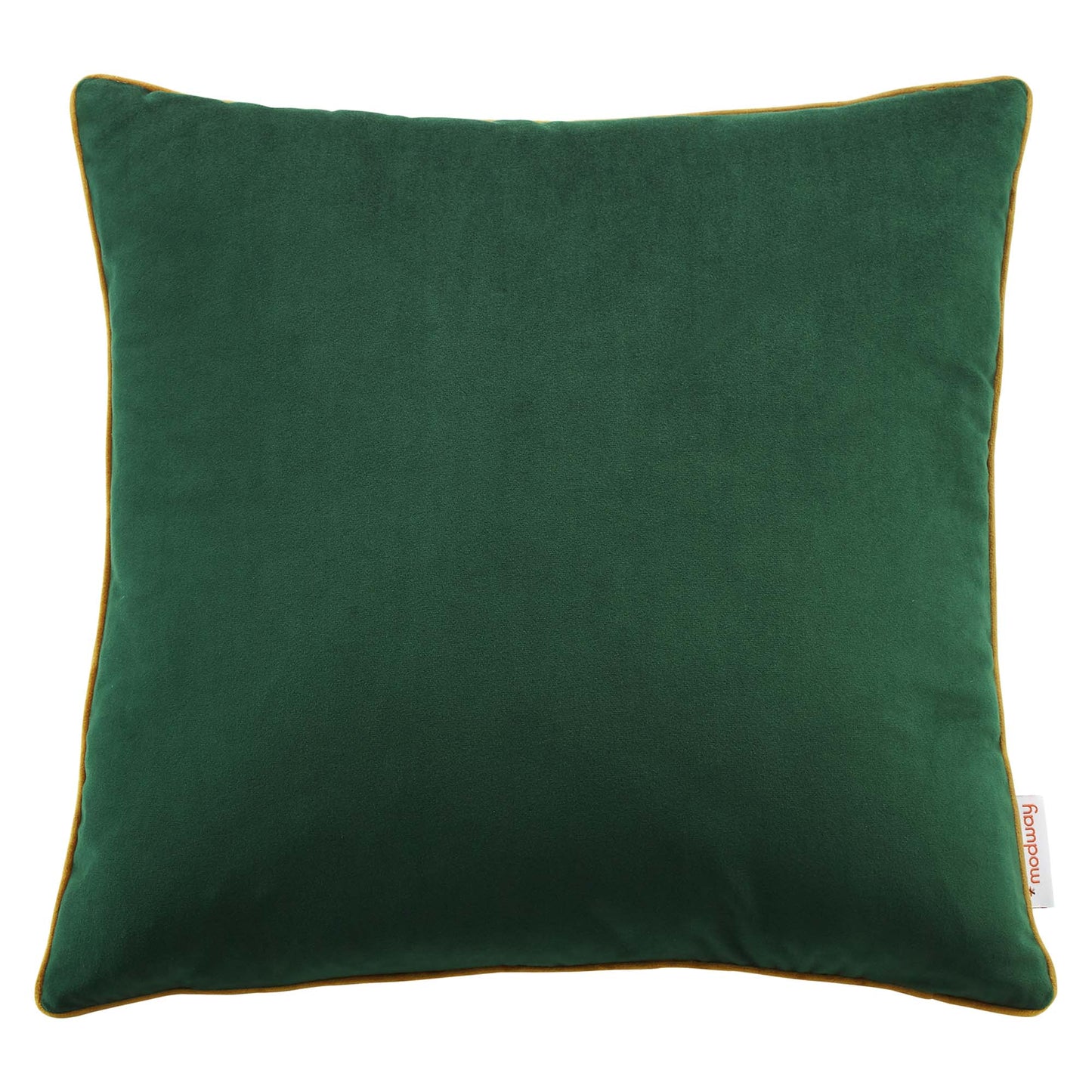 Accentuate 18" Performance Velvet Throw Pillow