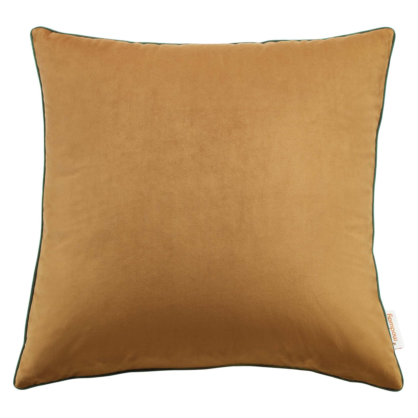 Accentuate 20" Performance Velvet Throw Pillow