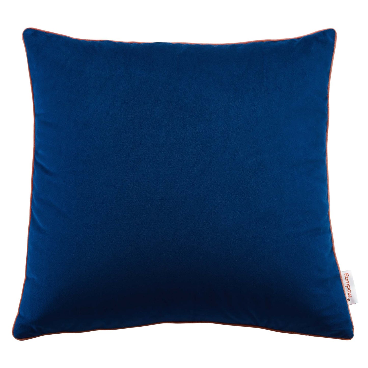 Accentuate 20" Performance Velvet Throw Pillow