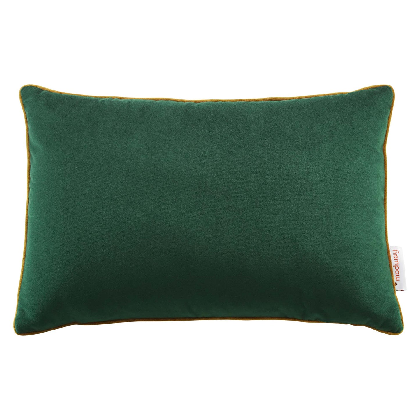 Accentuate 18" Lumbar Performance Velvet Throw Pillow