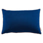 Accentuate 24" Lumbar Performance Velvet Throw Pillow