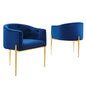 Savour Tufted Performance Velvet Accent Chairs Set of 2