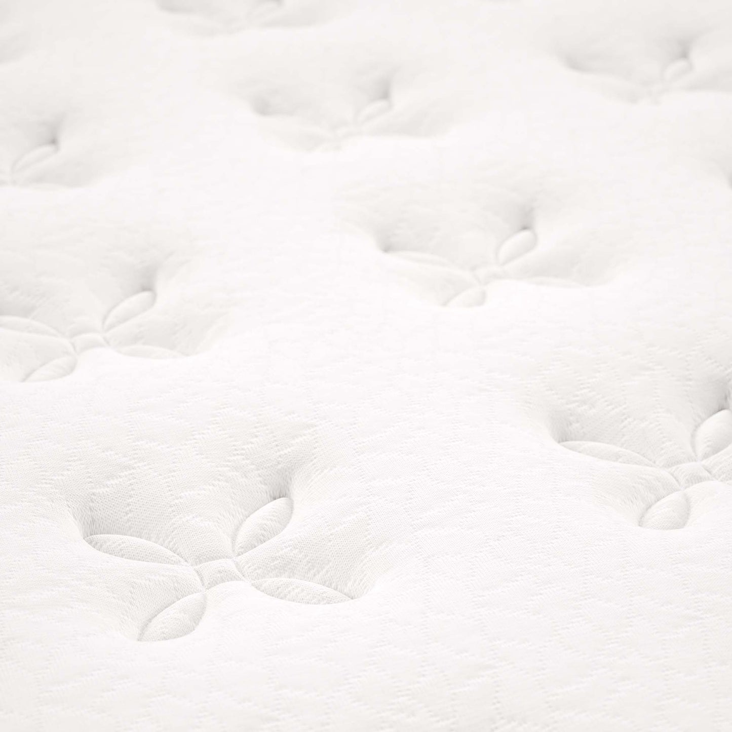 Jenna 8" Innerspring and Foam Twin Mattress