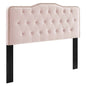 Sophia Tufted Performance Velvet Twin Headboard