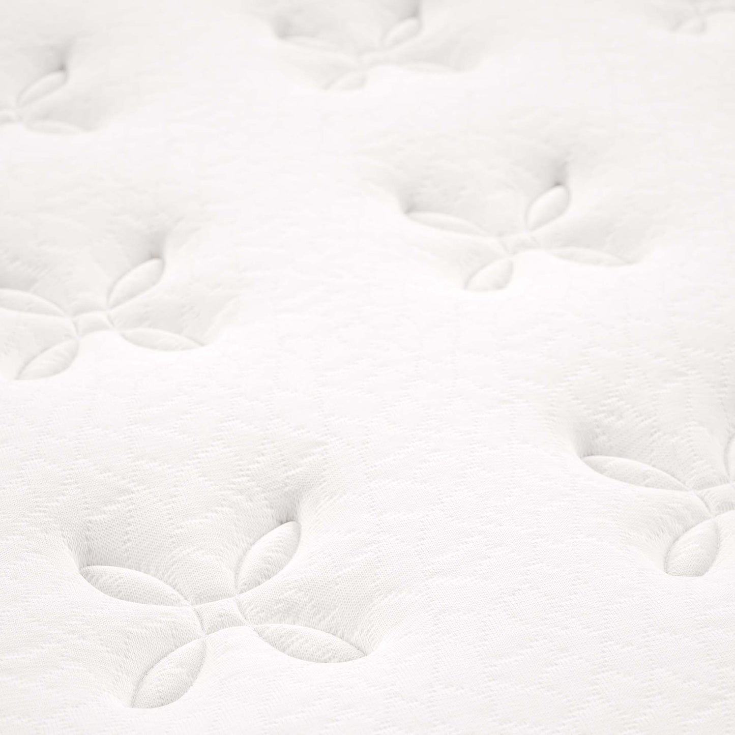 Jenna 6" Innerspring and Foam Queen Mattress