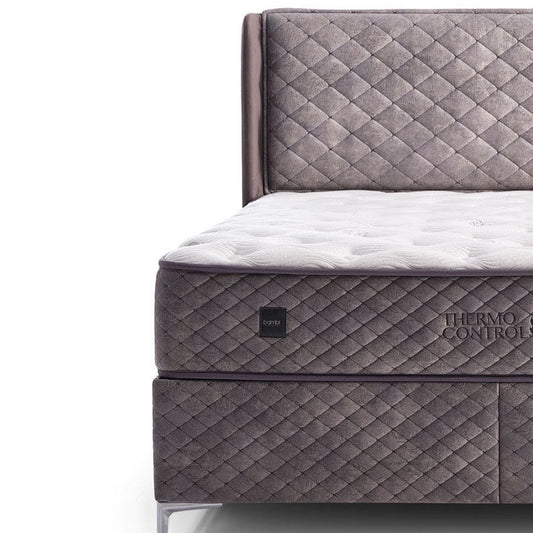 THERMO CONTROL  Anthracite / White