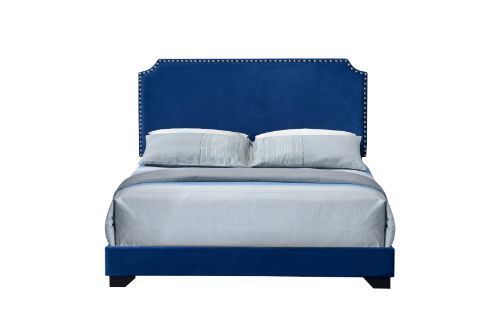 ACME Haemon Queen Bed - Blue Fabric 26760Q