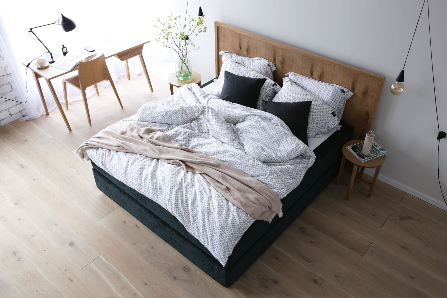 קאַרלינאַ קאָנטינענטאַל